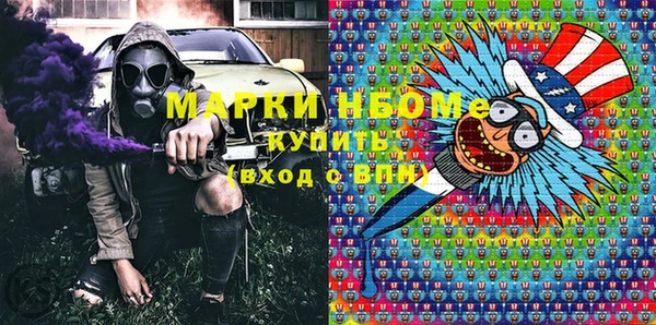 амф Пестово