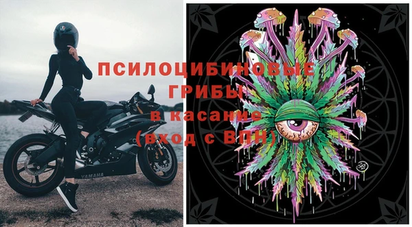 бошки Переславль-Залесский