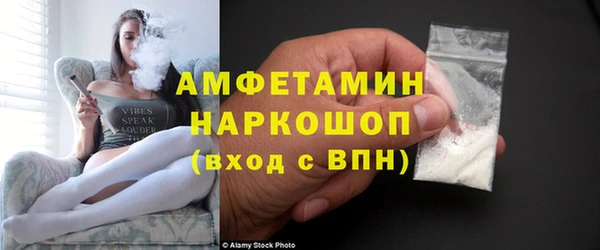 амф Пестово