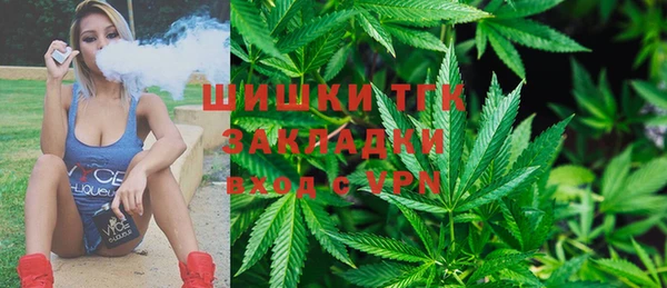 амф Пестово