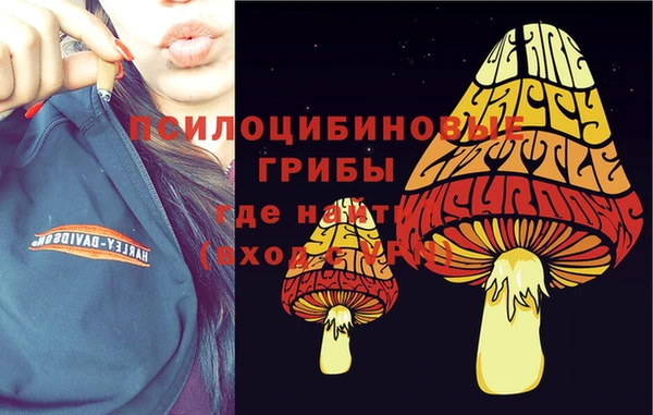 ПСИЛОЦИБИНОВЫЕ ГРИБЫ Покров