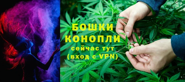 бошки Переславль-Залесский