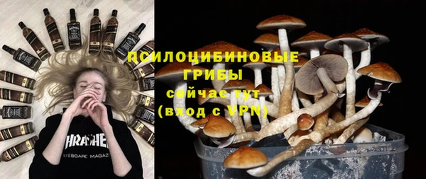 мяу мяу мука Пересвет