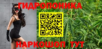 таблы Гусев