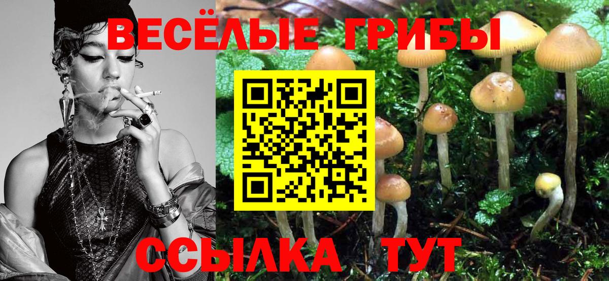 Галлюциногенные грибы прущие грибы Таганрог