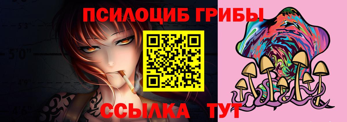 Галлюциногенные грибы мицелий Таганрог
