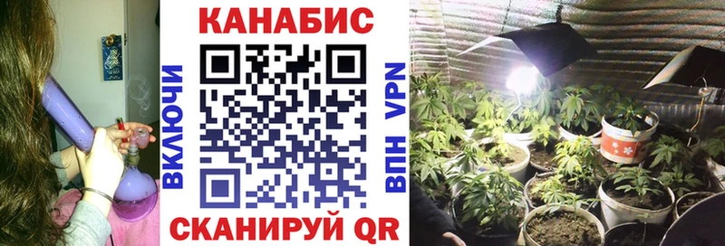 где купить наркоту  Таганрог  МАРИХУАНА сатива 